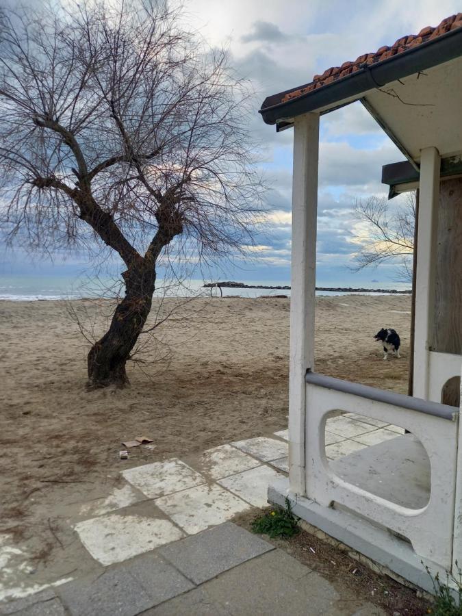 Bilocale Climatizzato A 850m Dalla Casa Katia *